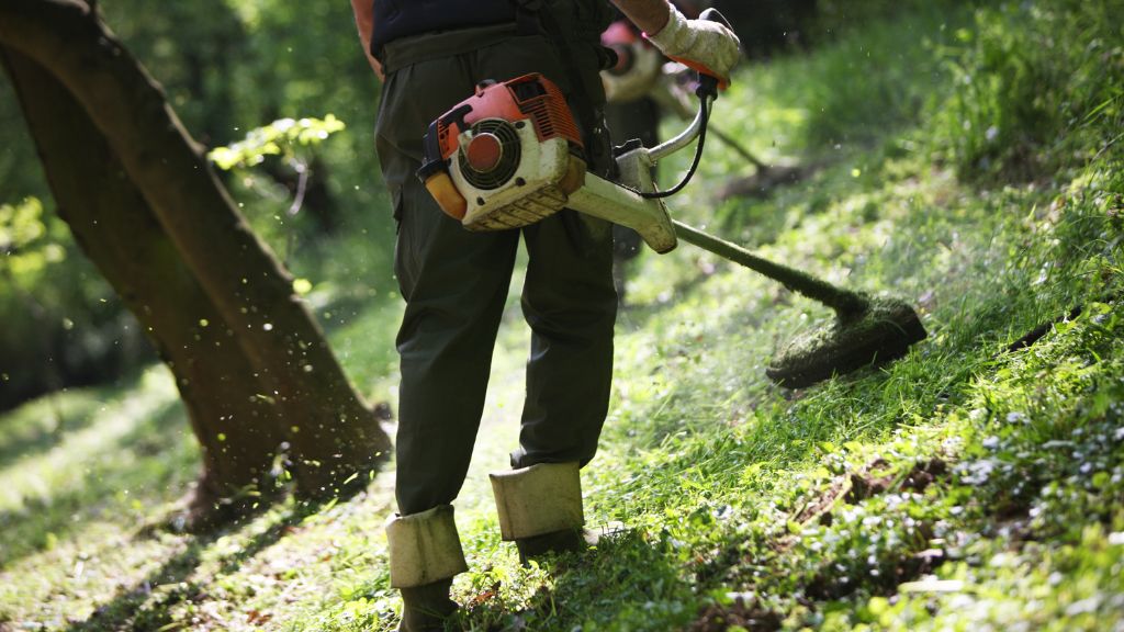 移住してみると想像以上に「虫と雑草が多くて大変」