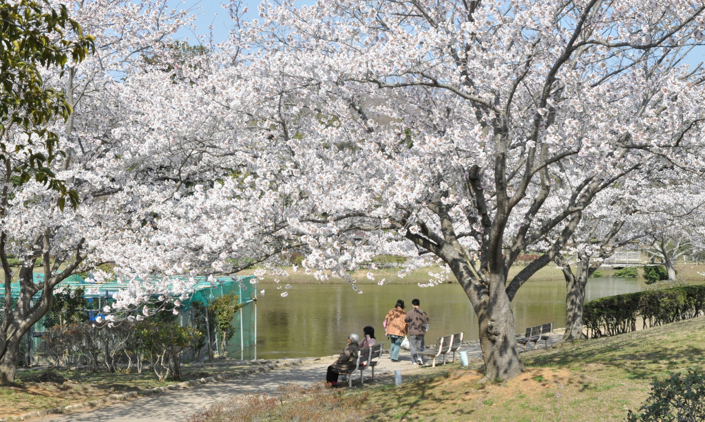 ＞内箕輪運動公園（提供：千葉県君津市）